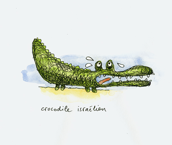 crocodile israélien